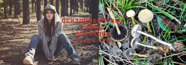 амф Малоархангельск