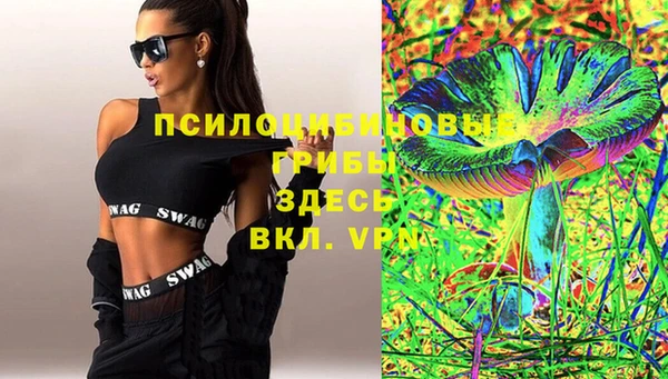 spice Нягань