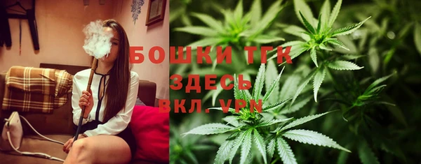 прущие крисы Новодвинск
