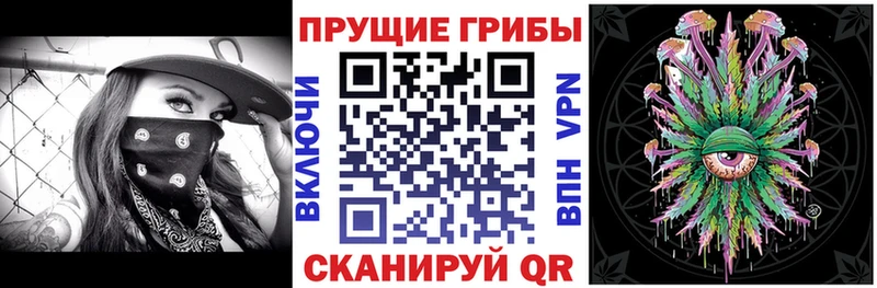 Галлюциногенные грибы мицелий  купить закладку  Рудня 